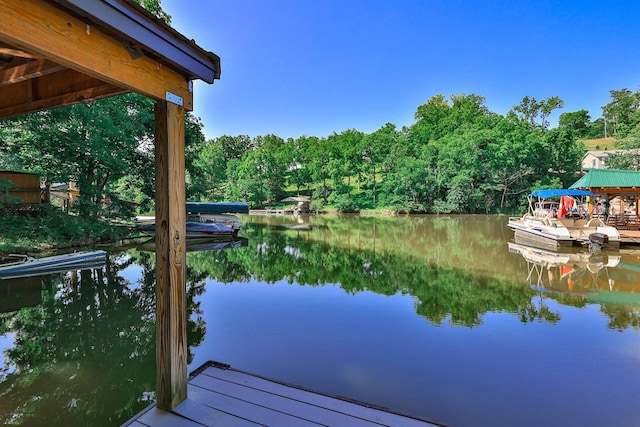 445 Elk Lake Resort Rd Unit 45, Owenton, KY 40359 - photo 41