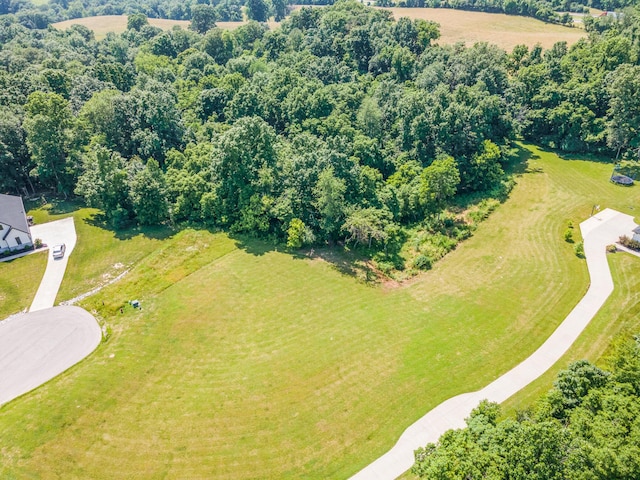 1112 Mehryn Way, Verona, KY 41092 - photo 12