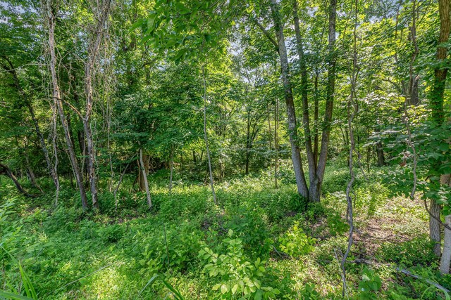 1112 Mehryn Way, Verona, KY 41092 - photo 4