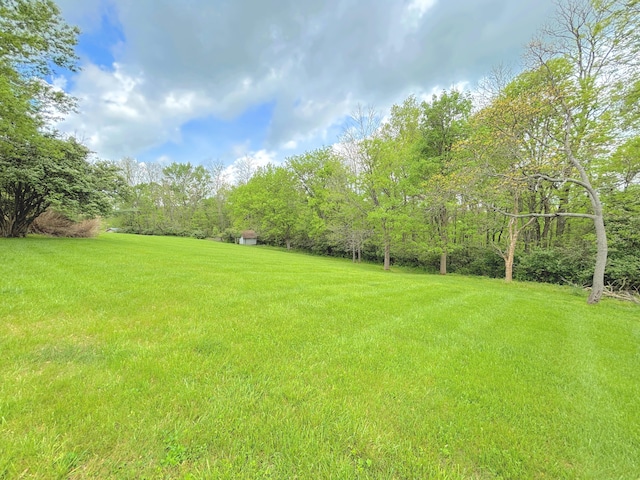 1376 Symbo Ln, Walton, KY 41094 - photo 48