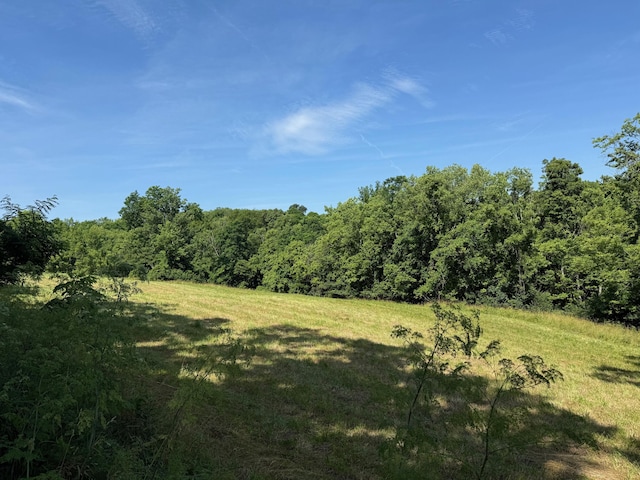 2418-3 Hempfling Rd, Morning View, KY 41063 - photo 4