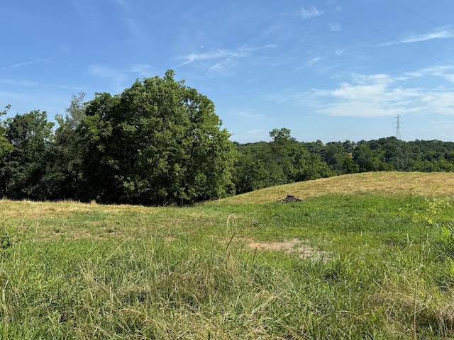 2418-3 Hempfling Rd, Morning View, KY 41063 - photo 8