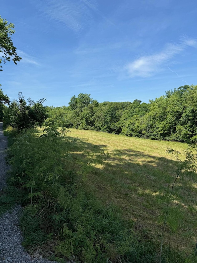 2418-3 Hempfling Rd, Morning View, KY 41063 - photo 26