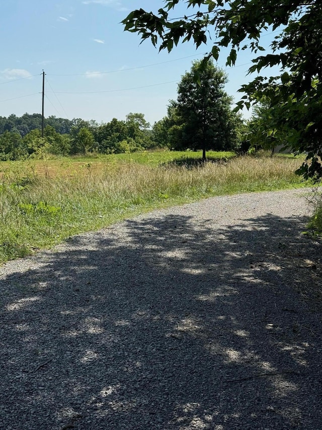 2418-3 Hempfling Rd, Morning View, KY 41063 - photo 28