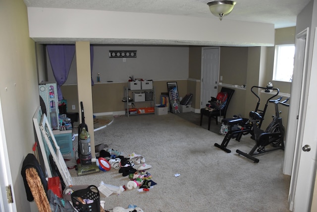 6596 Elgin Ct, Burlington, KY 41005 - exercise area with carpet