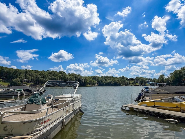 445 Elk Lake Resort Rd Unit 371, Owenton, KY 40359 - photo 27