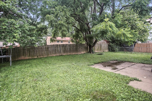 10239 Knob Hill Dr, Florence, KY 41042 - fenced backyard featuring a trampoline and a patio