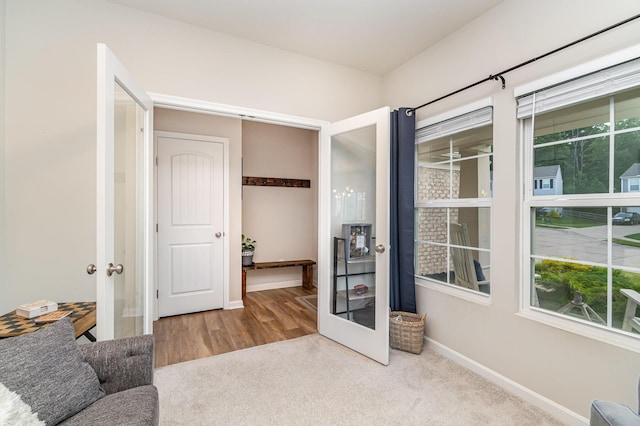 9612 Sweetwater Ln, Alexandria, KY 41001 - living area with french doors, healthy amount of natural light, and carpet floors