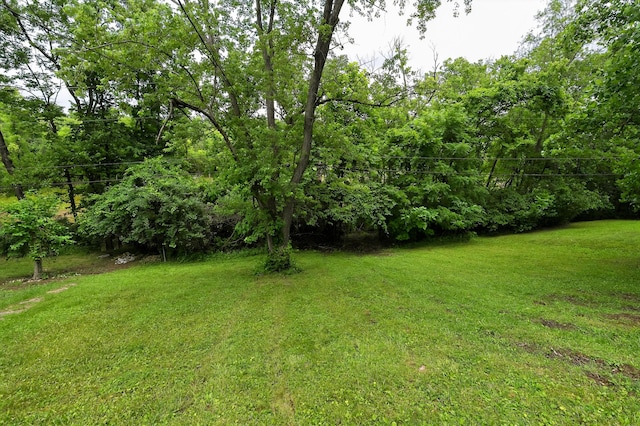 139 Berkley Dr, Florence, KY 41042 - view of grassy yard