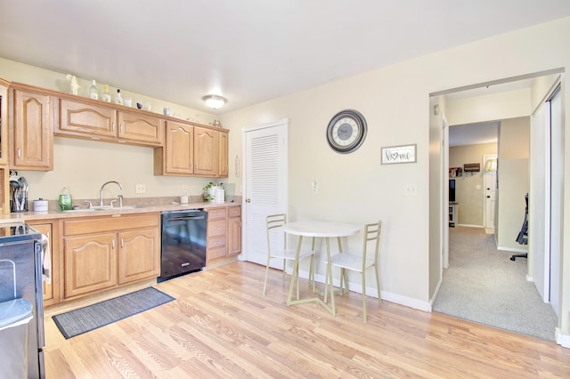 6803 Curtis Way, Florence, KY 41042 - photo 8
