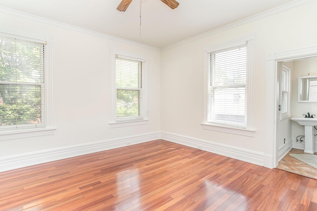 416 E 8th St, Newport, KY 41071 - empty room featuring light wood finished floors, a ceiling fan, and ornamental molding