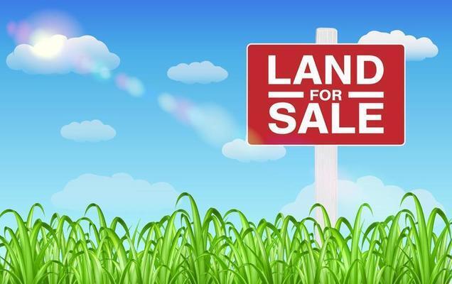 1540 Snag Creek Rd, Foster, KY 41043