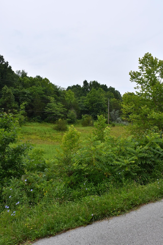 1540 Snag Creek Rd, Foster, KY 41043