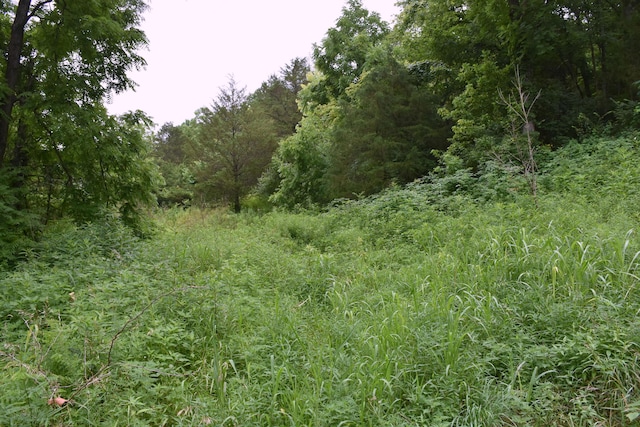 1540 Snag Creek Rd, Foster, KY 41043
