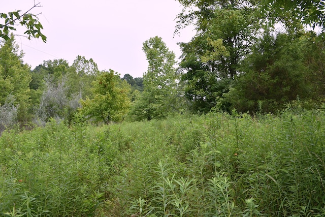 1540 Snag Creek Rd, Foster, KY 41043