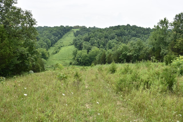 1540 Snag Creek Rd, Foster, KY 41043