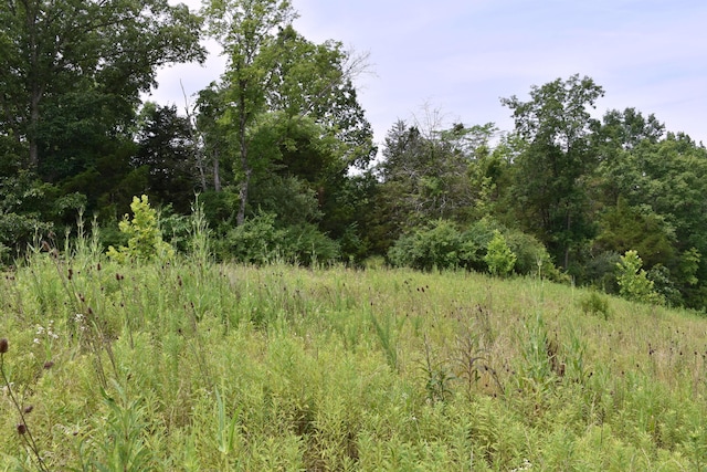 1540 Snag Creek Rd, Foster, KY 41043