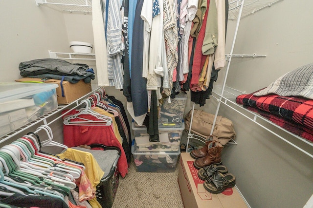 1155 Breckenridge Ln, Hebron, KY 41048 - view of walk in closet