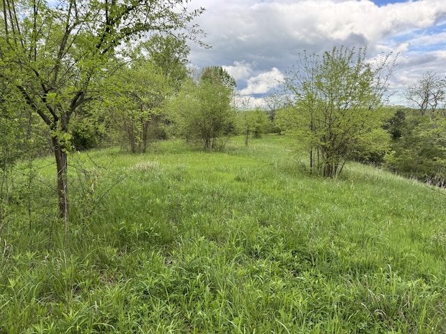0000 New Columbus Rd, Corinth, KY 41010 - photo 2