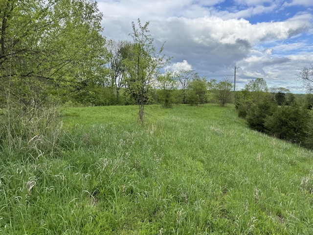 0000 New Columbus Rd, Corinth, KY 41010 - photo 3