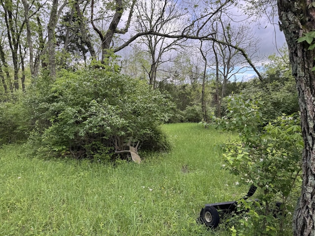 0000 New Columbus Rd, Corinth, KY 41010 - photo 13