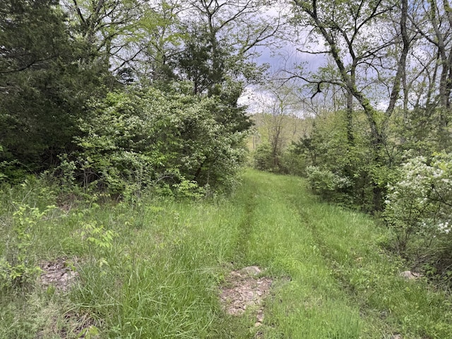 0000 New Columbus Rd, Corinth, KY 41010 - photo 16