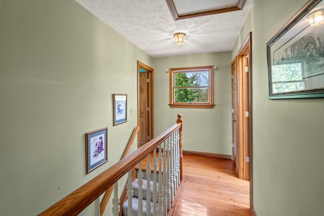 4690 Setters Rd, Union, KY 41091 - photo 18
