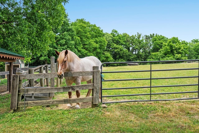 4690 Setters Rd, Union, KY 41091 - photo 40