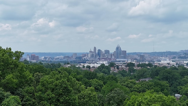 94 Mayo Cir, Newport, KY 41071 - view of city