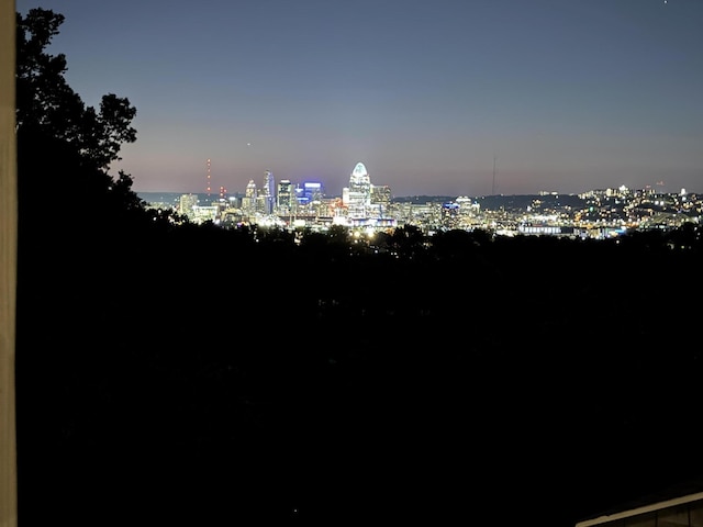 94 Mayo Cir, Newport, KY 41071 - view of city