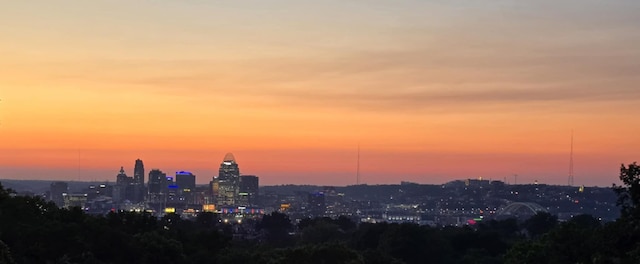 94 Mayo Cir, Newport, KY 41071 - city view