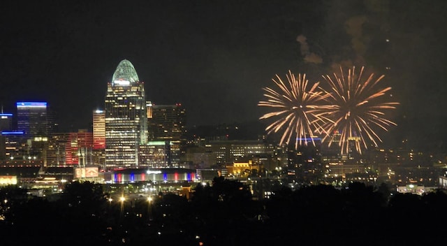 94 Mayo Cir, Newport, KY 41071 - view of city