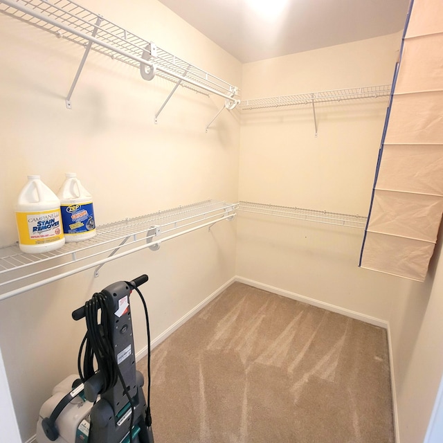 4467 Hackberry Ct, Burlington, KY 41005 - walk in closet with carpet floors