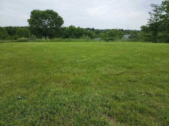 305 Eagle Ridge Dr, Dry Ridge, KY 41035 - photo 5