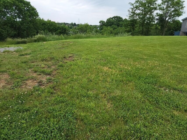 305 Eagle Ridge Dr, Dry Ridge, KY 41035 - photo 6