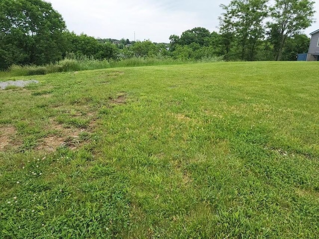 305 Eagle Ridge Dr, Dry Ridge, KY 41035 - photo 3