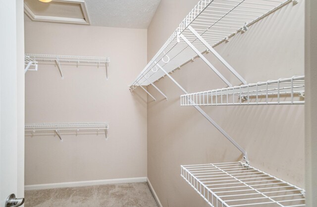 850 Foinavon Ln, Walton, KY 41094 - photo 12