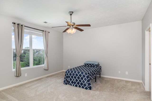 850 Foinavon Ln, Walton, KY 41094 - photo 29