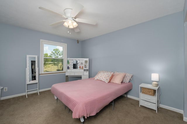 2095 Warsaw Rd, Dry Ridge, KY 41035 - photo 23