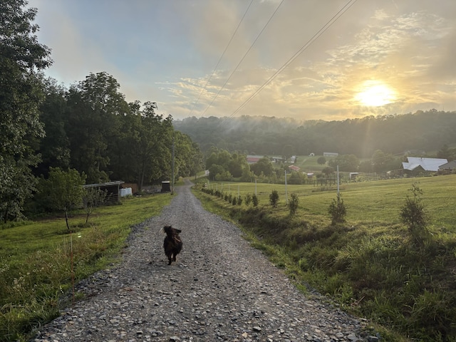 12718 Dickerson Rd, Walton, KY 41094 - photo 33