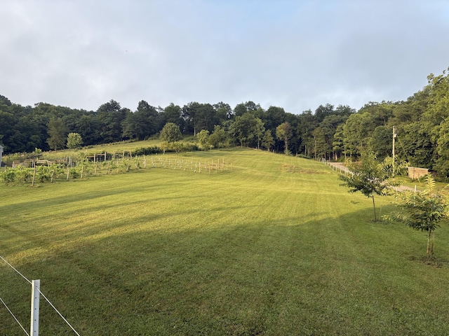 12718 Dickerson Rd, Walton, KY 41094 - photo 34