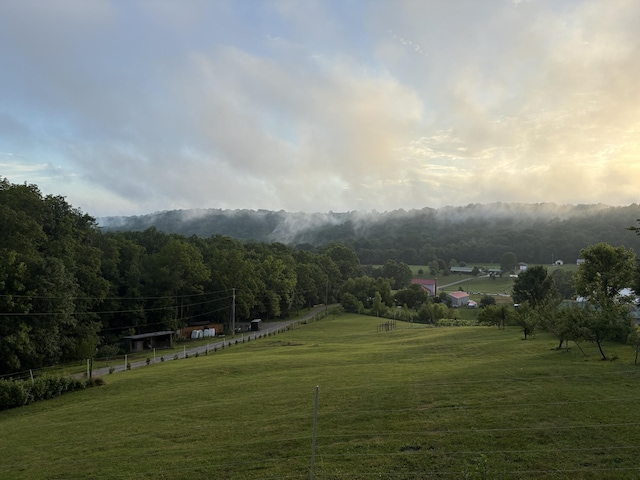12718 Dickerson Rd, Walton, KY 41094 - photo 35