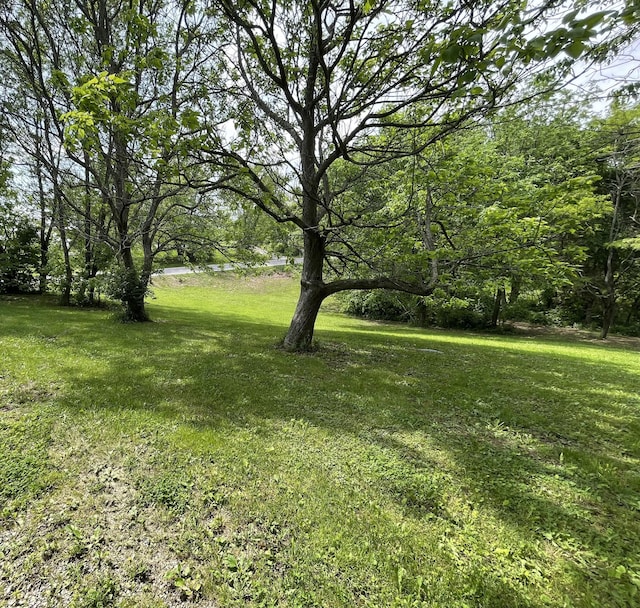 Listing photo - caption unavailable