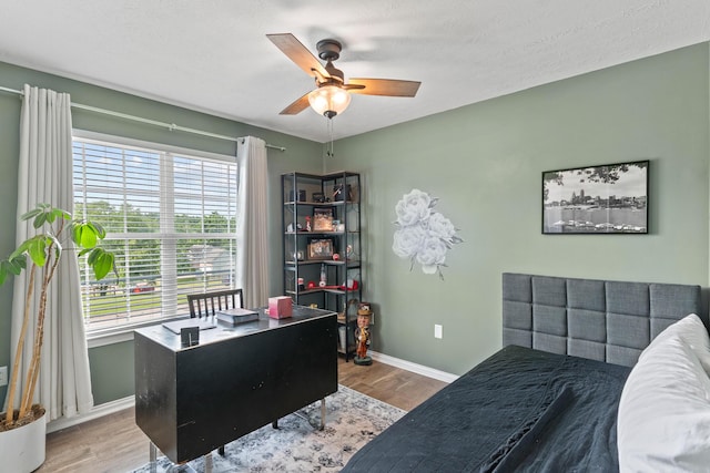 504 Rosebud Cir, Walton, KY 41094 - photo 18
