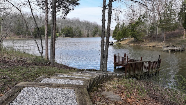 445 Davis Lake Rd # 1, Owenton, KY 40359 - dock featuring a water view and a view of trees