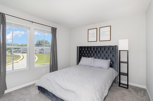 928 Darlington Creek Dr, Alexandria, KY 41001 - bedroom with carpet and multiple windows