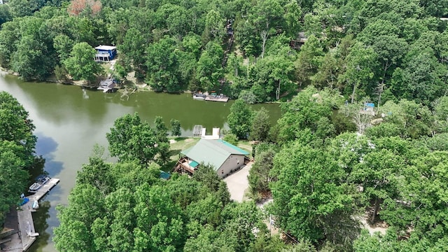 445 Elk Lake Resort Rd Unit 390, Owenton, KY 40359 - aerial overview of property's location with a large body of water and a forest