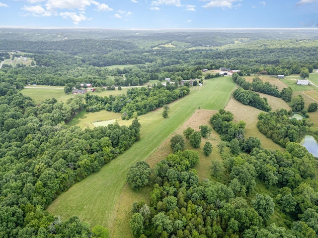 3950 Elliston Mount Zion Rd, Dry Ridge, KY 41035 - overview of rural landscape featuring a heavily wooded area