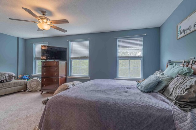2795 Fords Mill Rd, Dry Ridge, KY 41035