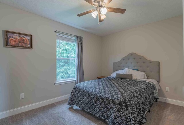 2795 Fords Mill Rd, Dry Ridge, KY 41035